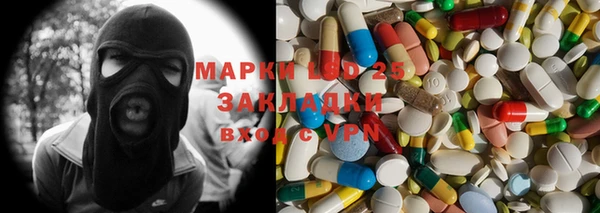 крисы Абаза
