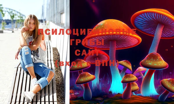 крисы Абаза