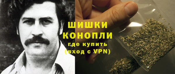 крисы Абаза